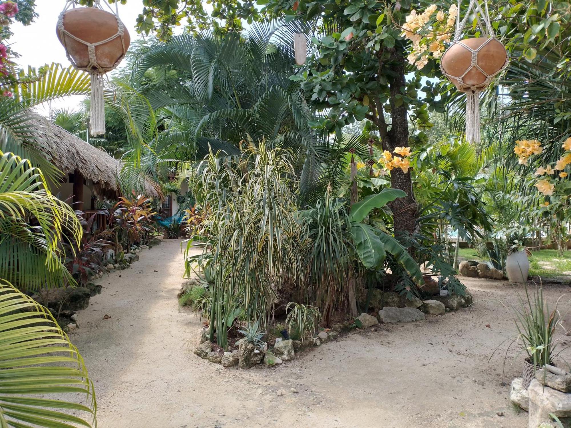 Zamunda Garden View Hotel Tulum Exterior photo