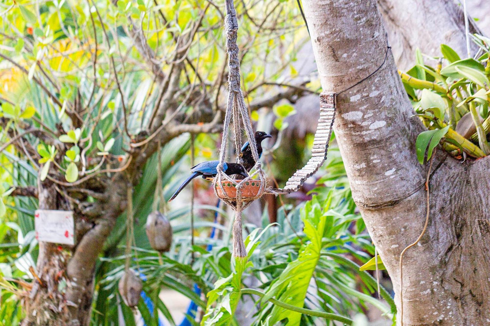 Zamunda Garden View Hotel Tulum Exterior photo