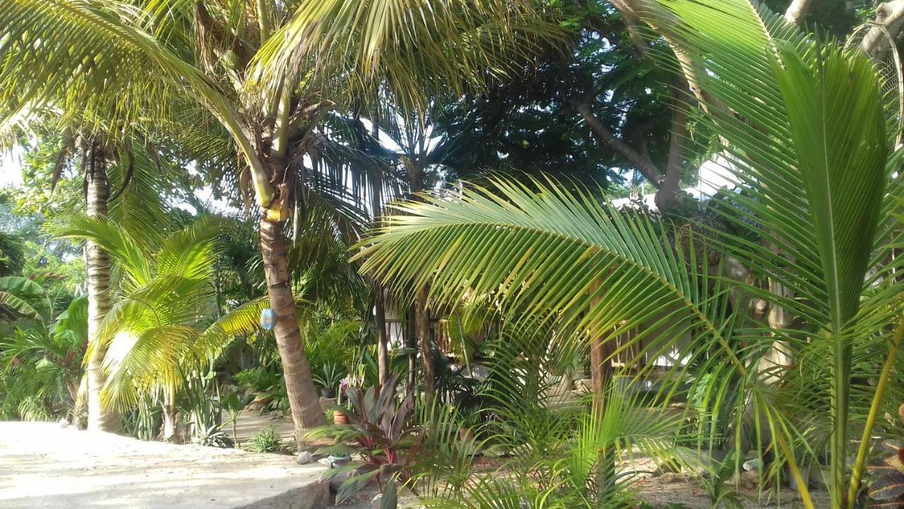 Zamunda Garden View Hotel Tulum Exterior photo